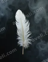 Ethereal White Feather Canvas Wall Art for Living Room Decor wall art print