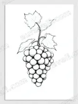 Grapes Sketch Line Art Canvas Wall Art for Living Room Home Decor – view 3