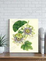 Passion Flower Botanical Canvas Wall Art for Living Room Home Decor