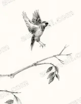 Bird in Flight Black and White Canvas Wall Art for Home Decor living room wall art for modern home decor