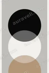 Minimalist Geometric Circles Canvas Wall Art for Living Room framed modern home decor