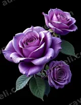 Purple Roses Canvas Wall Art for Bedroom Living Room framed modern home decor