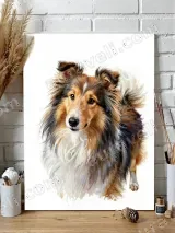 Sheltie Dog Watercolor Canvas Wall Art for Living Room Home Decor