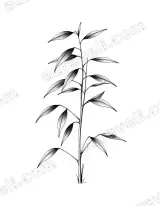 Bamboo Plant Line Art Canvas Wall for Living framed modern home decor