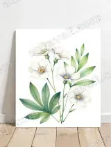 Watercolor Floral Canvas Wall Art for Bedroom & Living Room Home Decor