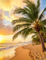 Tropical Beach Palm Tree Sunset Canvas Wall Art for framed modern home decor