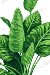 Tropical Green Leaves Canvas Wall Art for Living Room framed modern home decor
