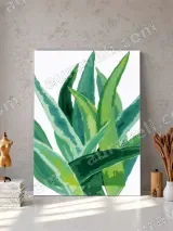 Aloe Vera Watercolor Canvas Wall Art for Living Room Decor