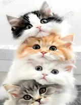 Cute Stacked Kittens Canvas Wall Art for Living Room Home Decor wall art print